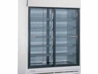 Everest Double Door Chiller (Swing Door)  EV52SWG